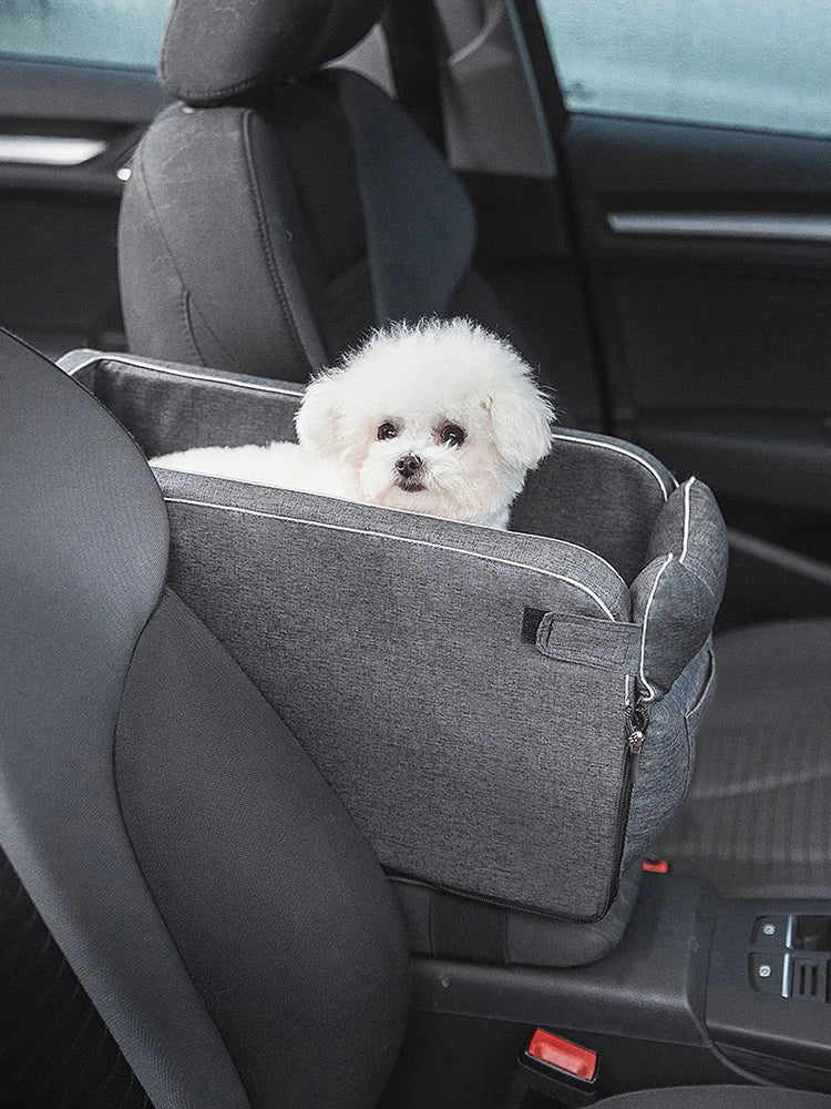 Paw Porter